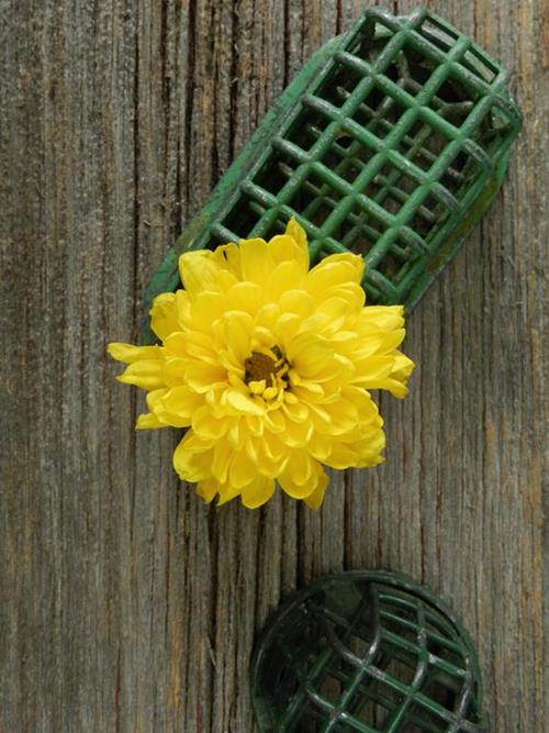 CHEDDAR YELLOW CUSHION POMPS